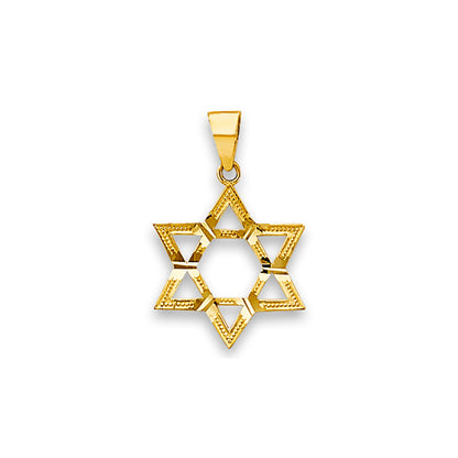 Yellow Gold Sleek Diamond-cut Star of David Pendant 