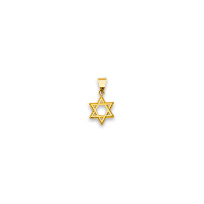 Yellow Gold Milgrain Designer Star of David Pendant